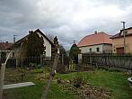 Třibřichy
